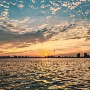 Meet your Posher, Martha